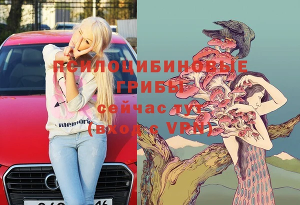 a pvp Протвино