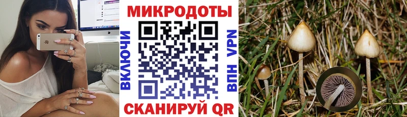Купить  Кораблино  Псилоцибиновые грибы мухоморы 
